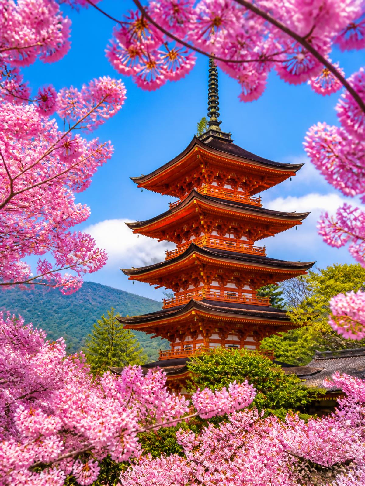 Japan — luxury Japan travel curated by Aylyak Travels