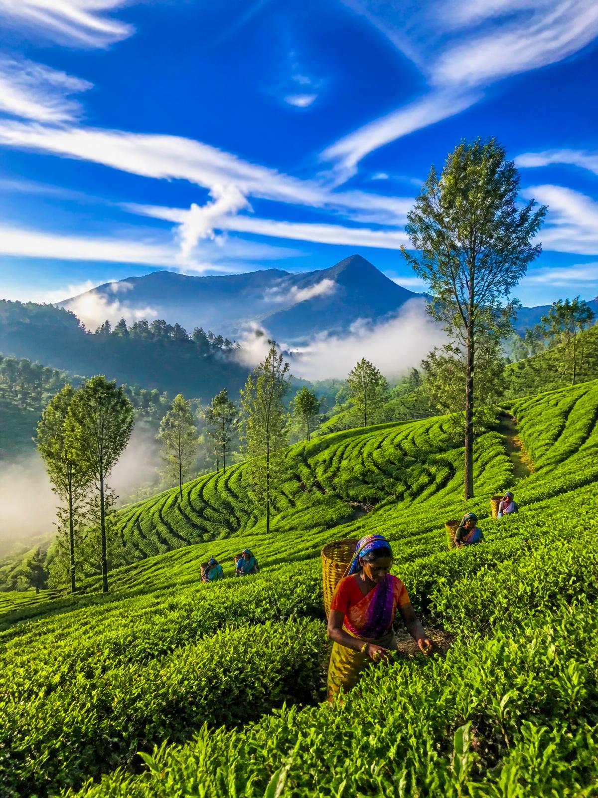 Sri Lanka — luxury Sri Lanka travel curated by Aylyak Travels